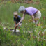 Stanley Rehder Carnivorous Plant Garden at Piney Ridge Nature Preserve ...