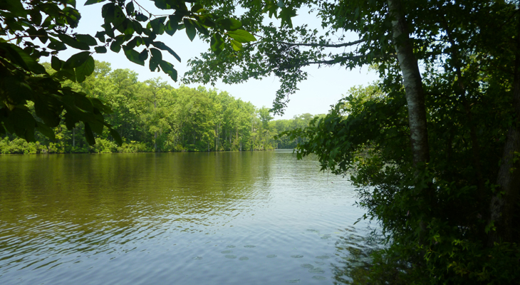 chowan river