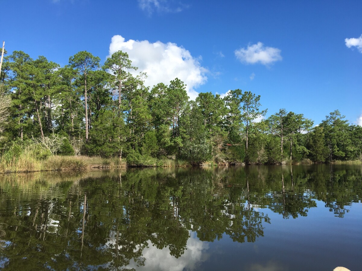 Partnership adds more than 400 acres to public game lands – NC Coastal ...