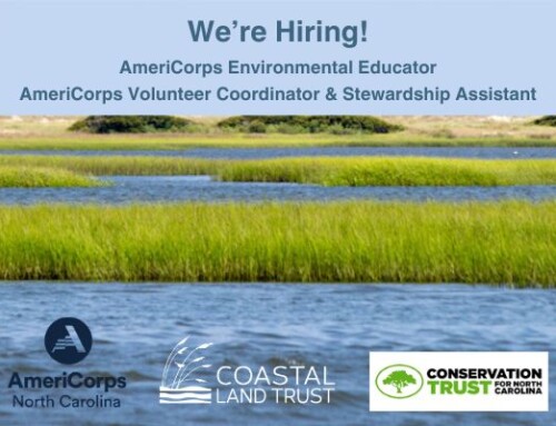 Two AmeriCorps Positions Available!