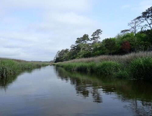 Newport River Phase II Complete!