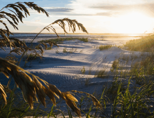 Purchase Complete for the South End of Topsail!