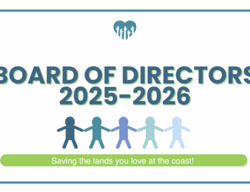 Board of Directors FY25