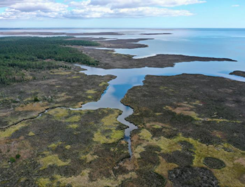 Spencer Bay