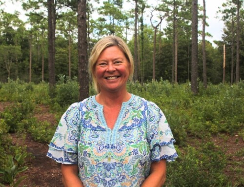 Wendy N. Long Joins as Director of Development