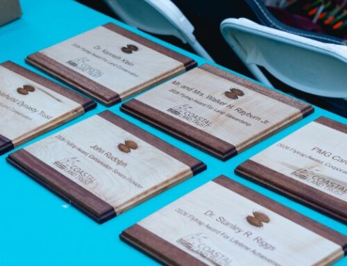 2026 Flytrap Awards